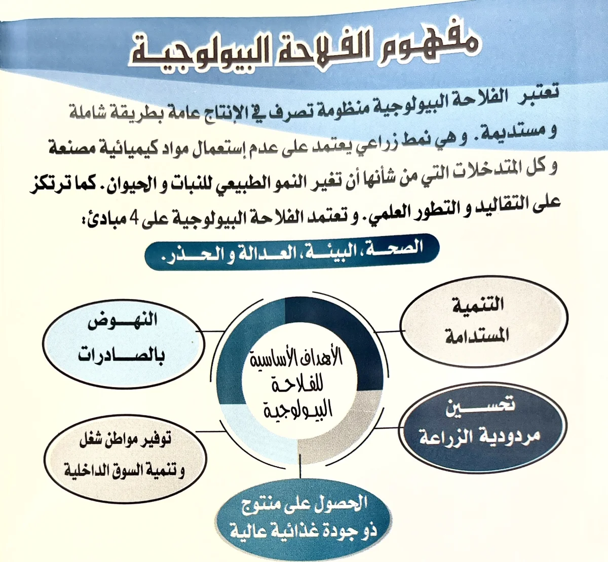 دليل منتجي الزيت زيتون العضوي في تونس ودقة المعايير