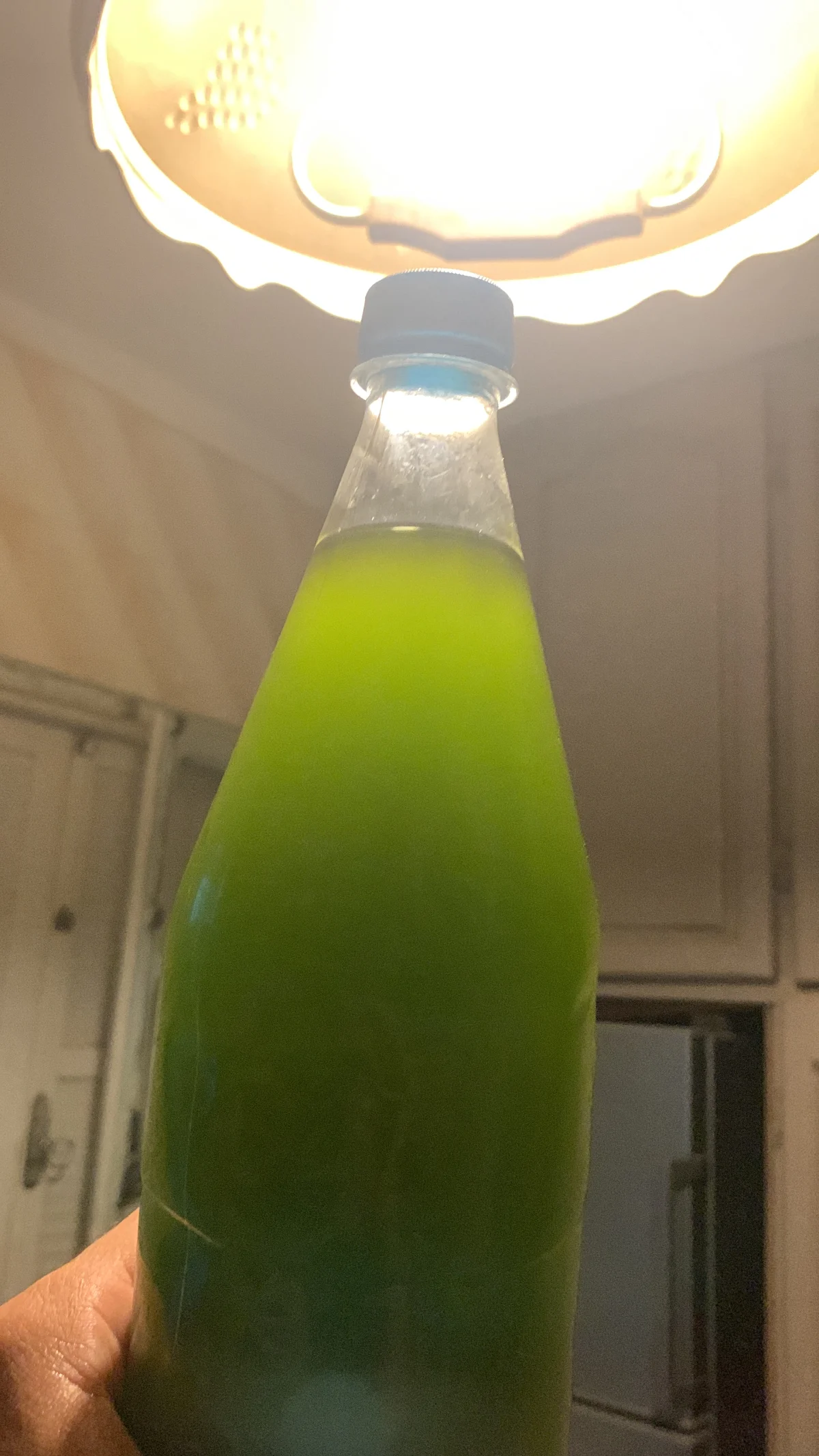 chemlali