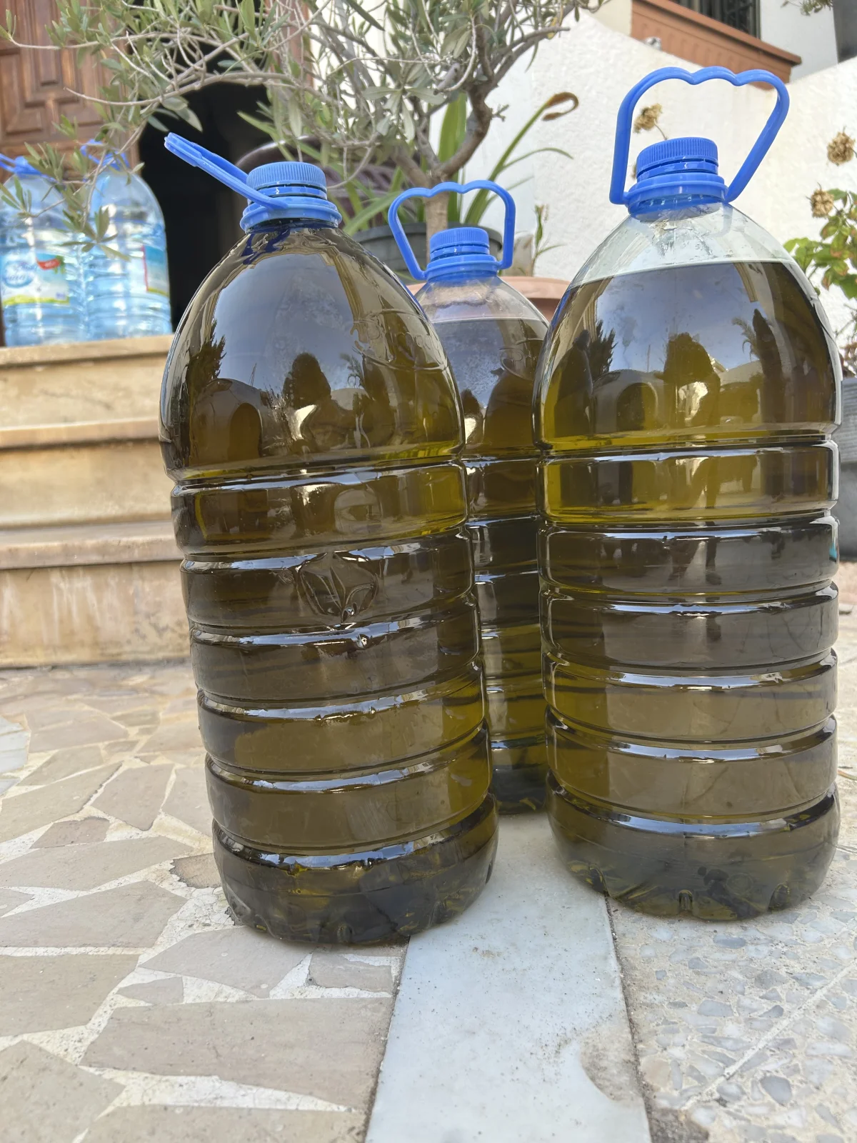 chemlali