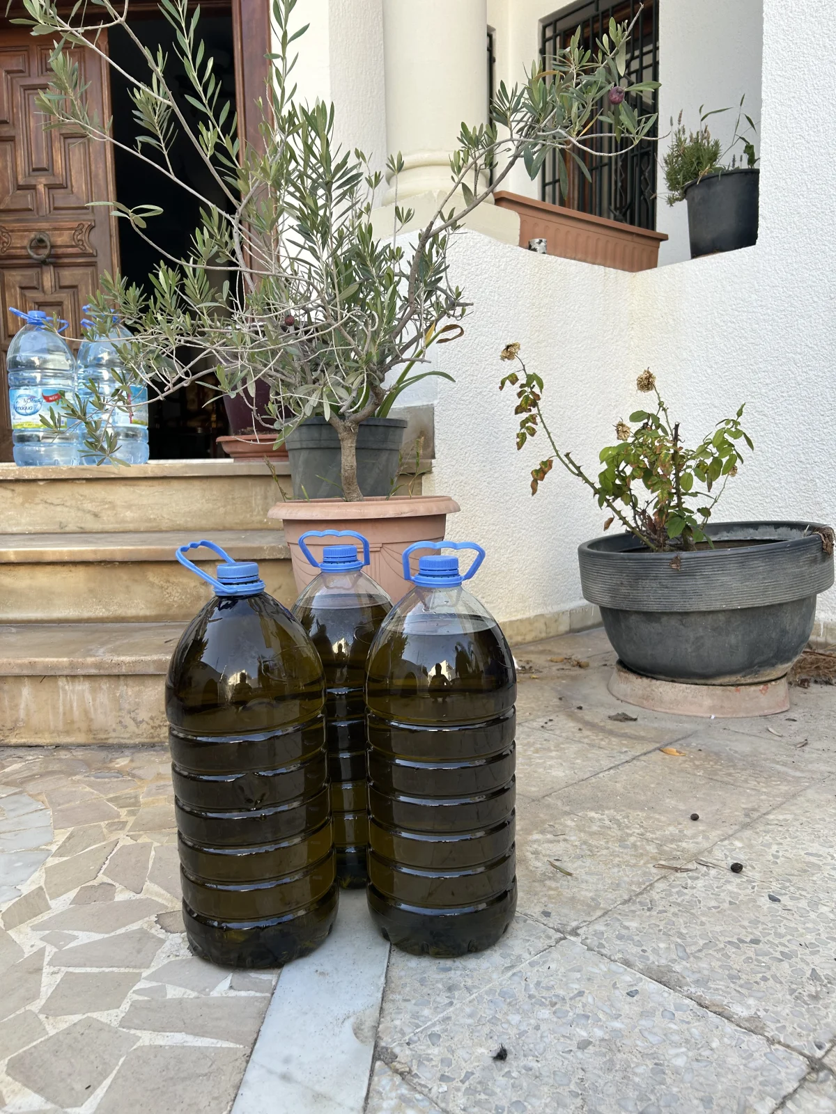 chemlali