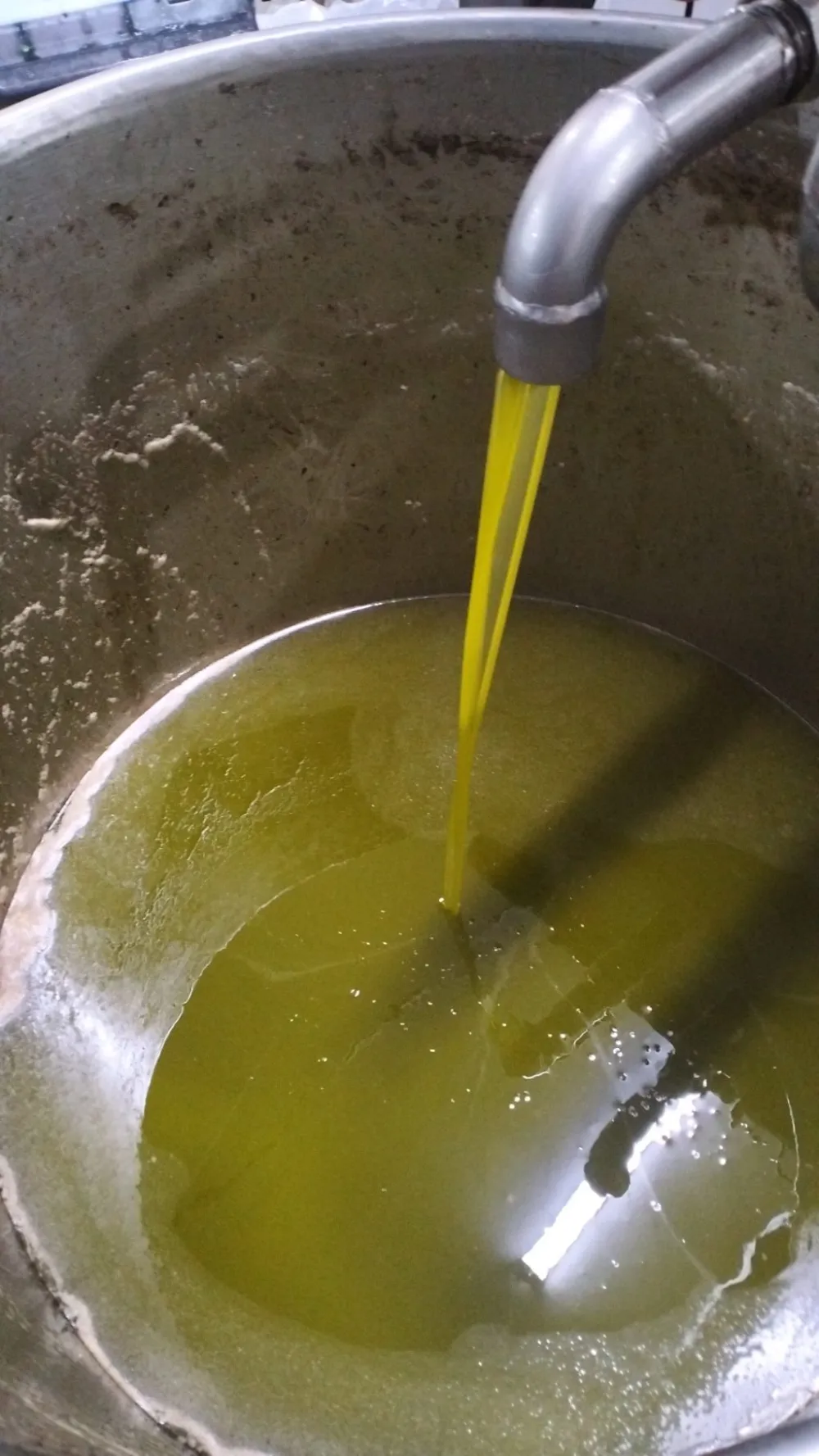 chaibi