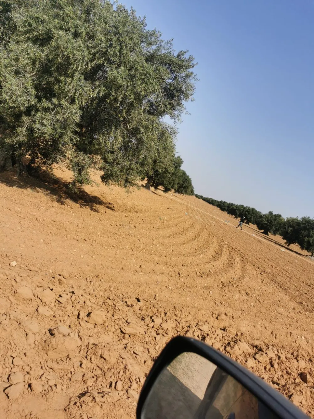 chemlali