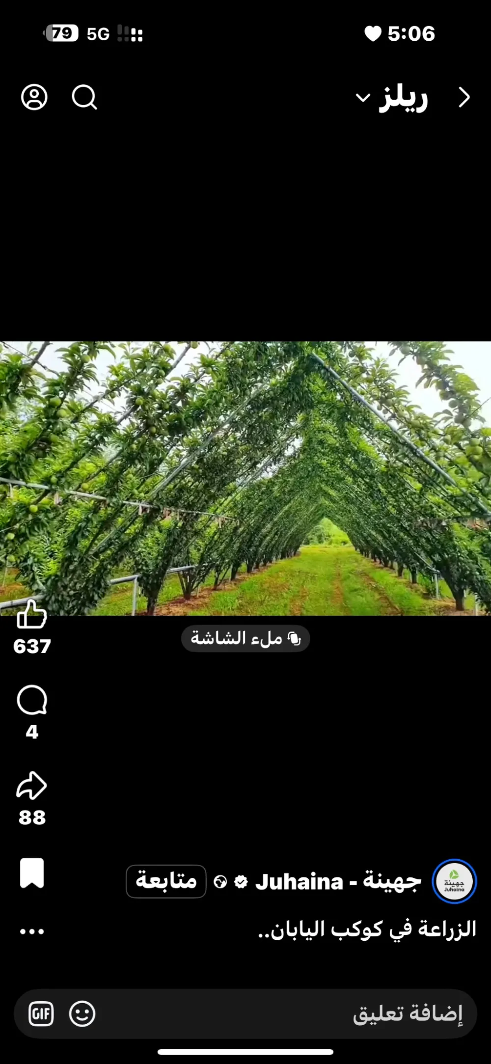 arbequina
