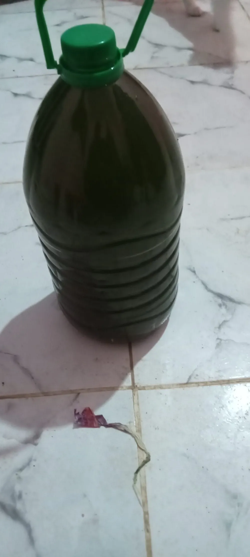 sahli