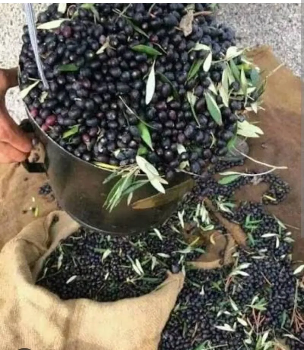 chemchali