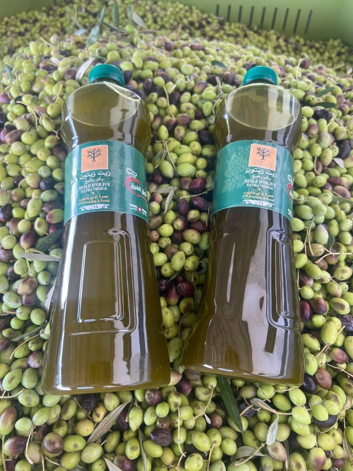 chemlali
